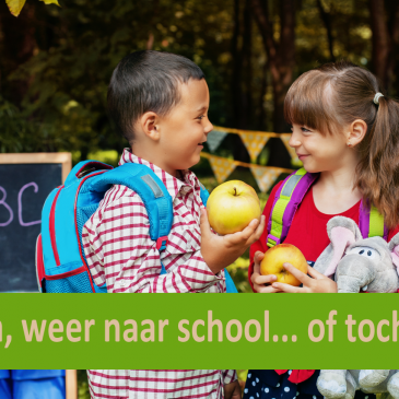 Help, de herfstvakantie is voorbij! We mogen/moeten weer naar school.